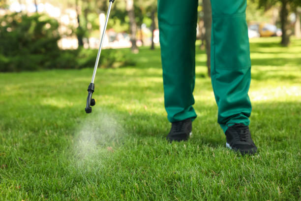 Best Local Pest Control Services  in Shoreline, WA