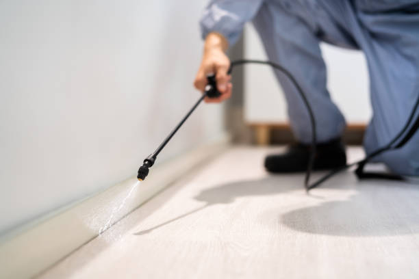 Best Local Pest Control Services  in Shoreline, WA