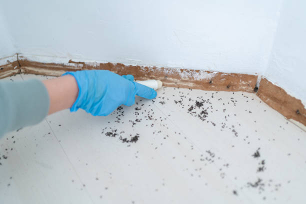 Best Pest Removal Services  in Shoreline, WA